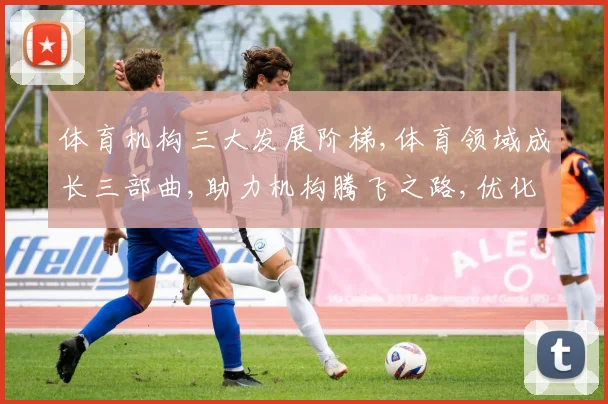 体育机构三大发展阶梯,体育领域成长三部曲,助力机构腾飞之路,优化策略,共创新篇章