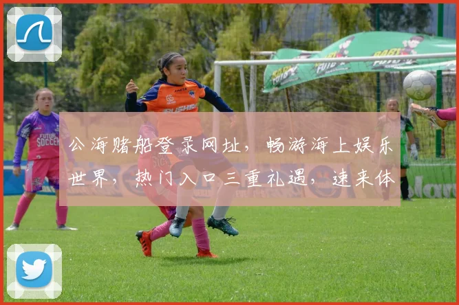 公海赌船登录网址，畅游海上娱乐世界，热门入口三重礼遇，速来体验