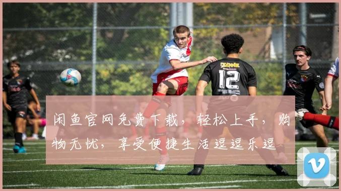 闲鱼官网免费下载，轻松上手，购物无忧，享受便捷生活逗逗乐逗