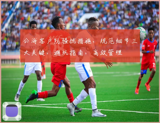 公海客户防骚扰措施，规范细节三大关键，避坑指南，高效管理