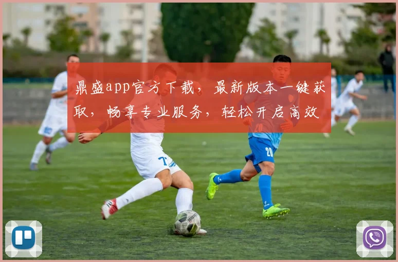 鼎盛app官方下载，最新版本一键获取，畅享专业服务，轻松开启高效生活体验，不容错过